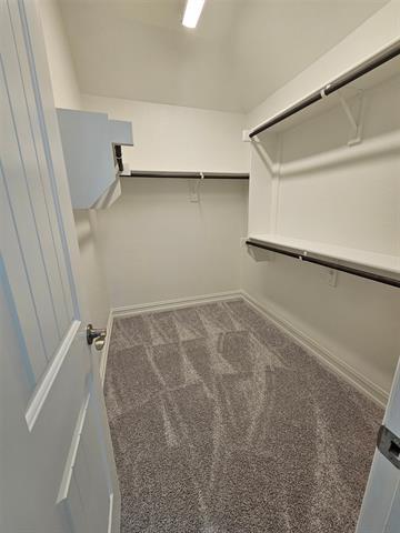 Building Photo - 3105 Euclid Way