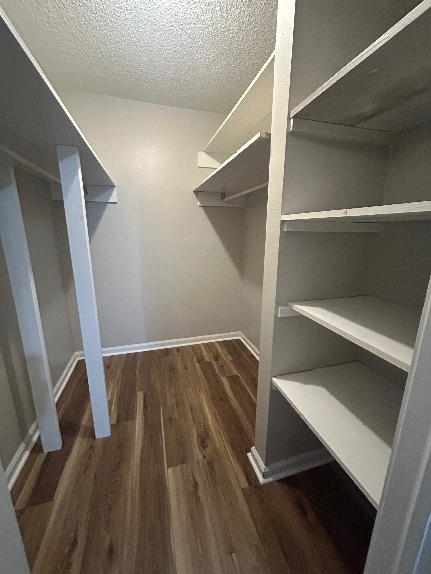 Walk In Closet - 103 Thornwell Ct