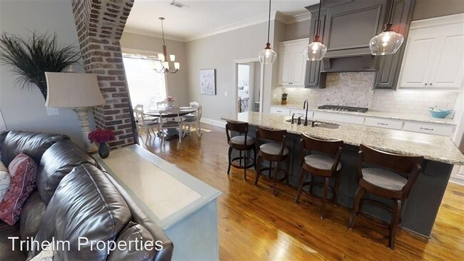 Building Photo - 4 br, 3 bath House - 901 Abundance Xing