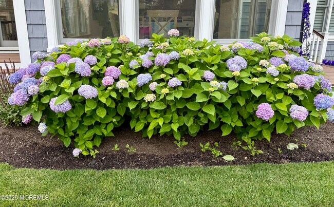 Building Photo - 102 4th Ave