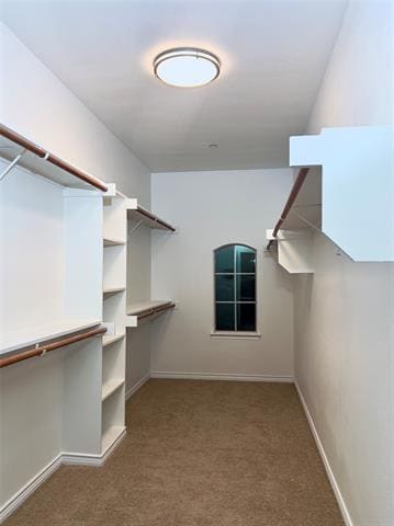 Building Photo - 1902 Downing St