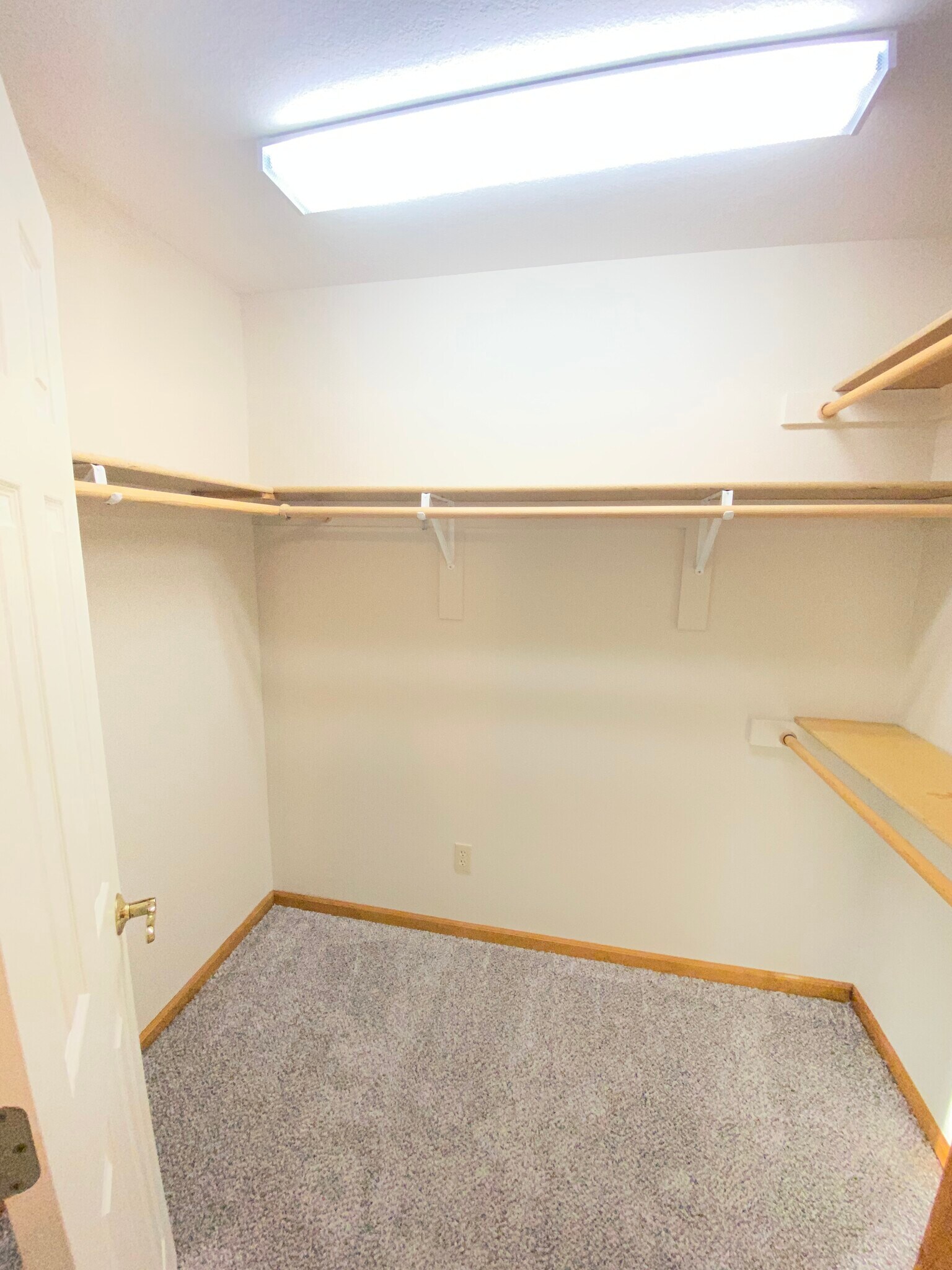 Primary walk in closet - 3906 SW Chartwell Ct