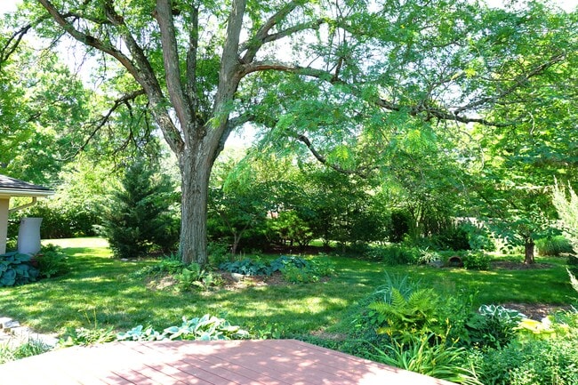 Park-like private backyard - 2917 North Star Rd