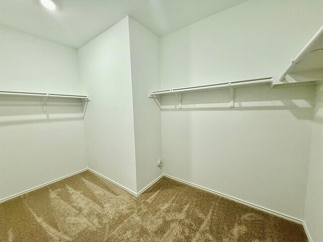 Building Photo - 1724 Four Waters Lp