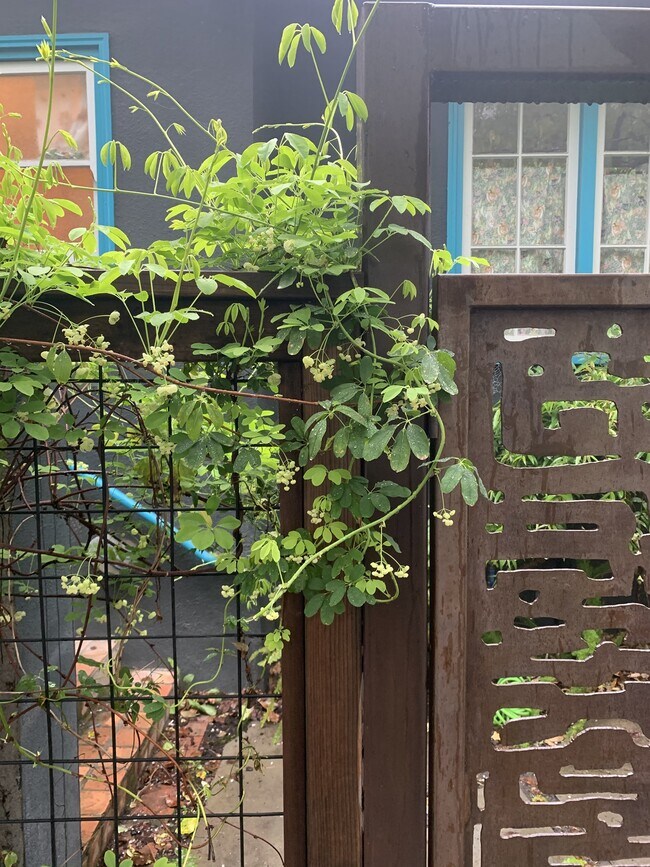 Building Photo - 890 Cragmont Ave