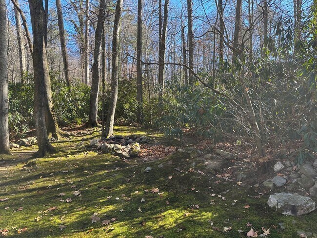 Building Photo - 2 Bedroom / 1 bath A Frame Home  Erwin, TN