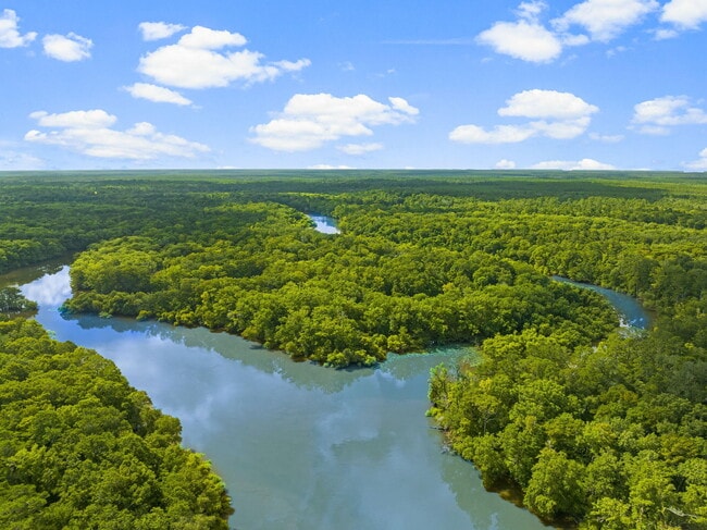 Building Photo - 493 Choctawhatchee River Rd