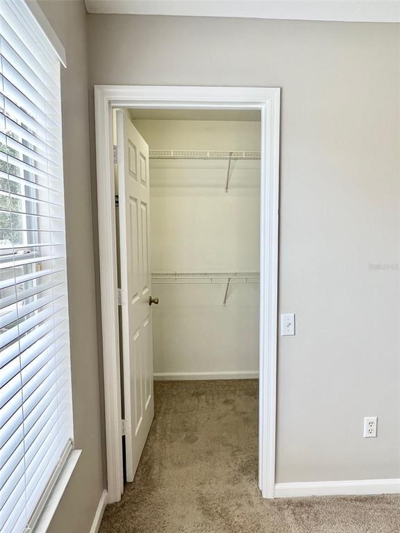 Building Photo - 3149 Stowe St