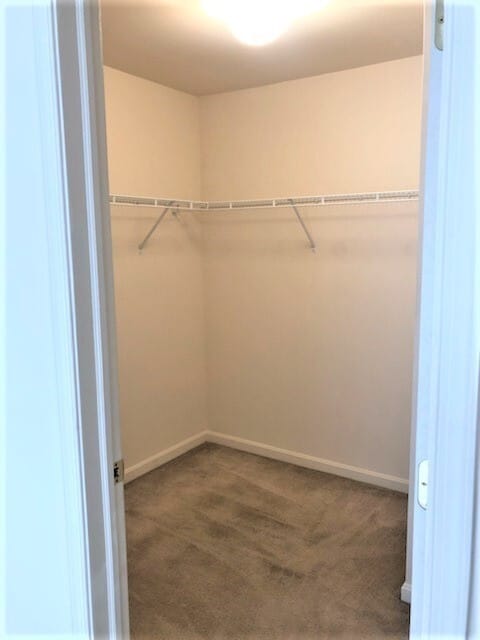 Building Photo - 7874 Manada Ct