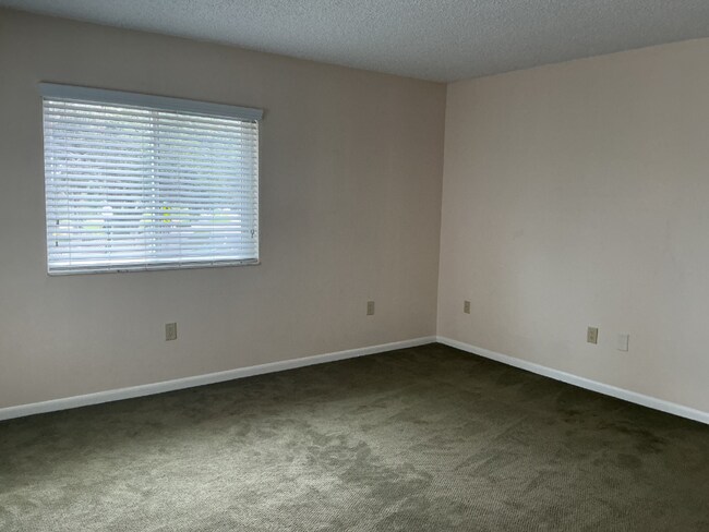 Building Photo - Lakeview Condo Coming Soon | Directly Across from Lake Hollingsworth