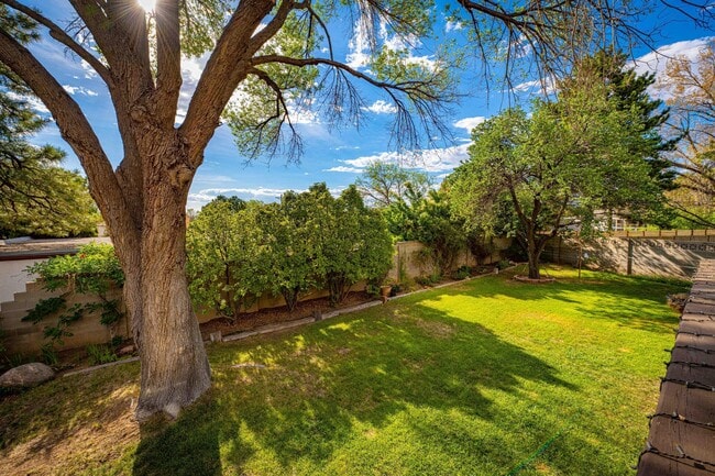 Building Photo - 3615 Horacio Ct NE