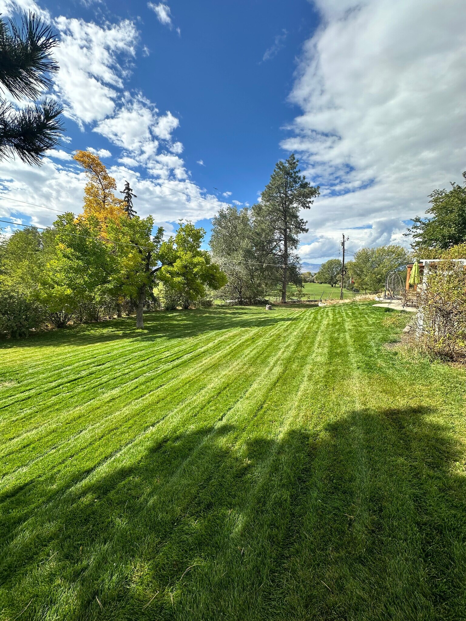 Building Photo - 8916 S 1240 E