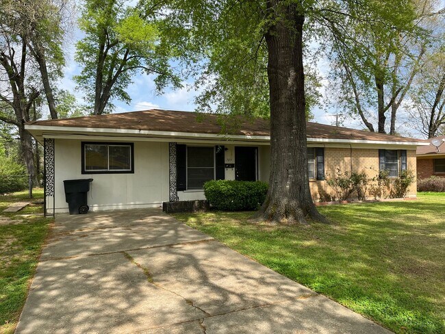 Primary Photo - 3BR/1BA in Hyde Park