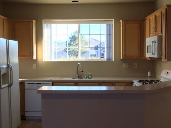 Building Photo - South Reno Home