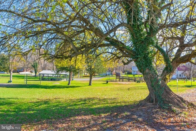 Building Photo - 11244 Blue Ridge Ct