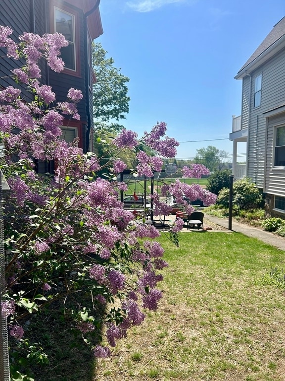 Building Photo - 46 Lombard Terrace