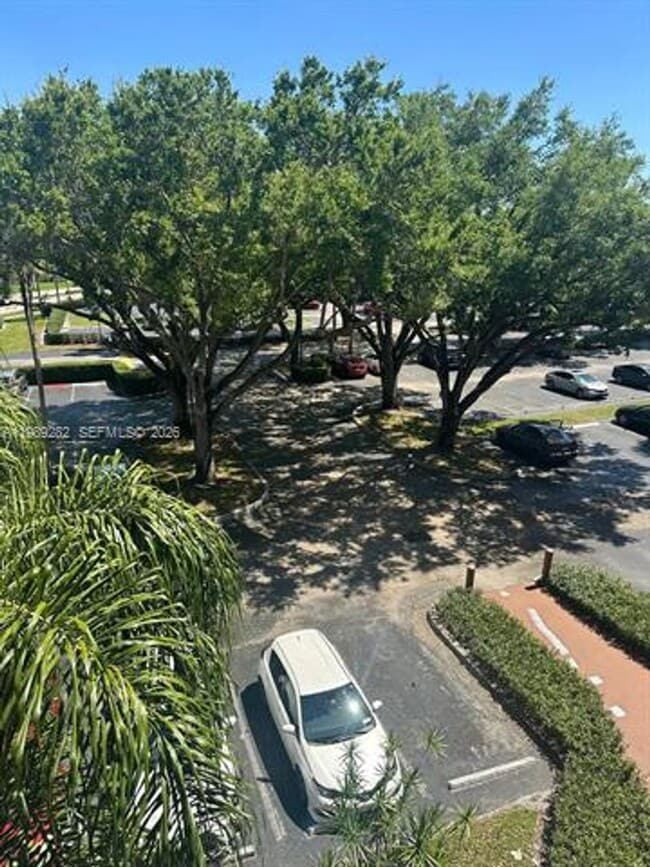 Building Photo - 1811 Sabal Palm Dr