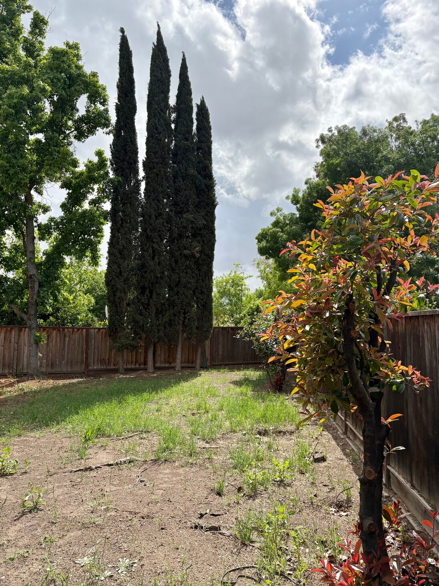 Building Photo - 1363 Egret Dr