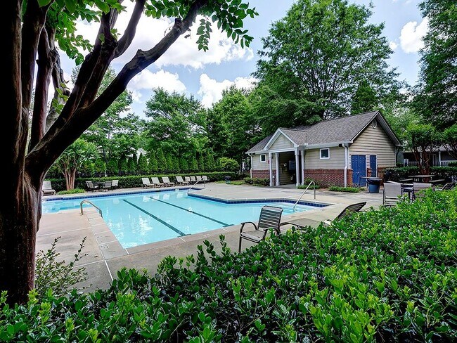 Building Photo - 708 Spring Heights Ln