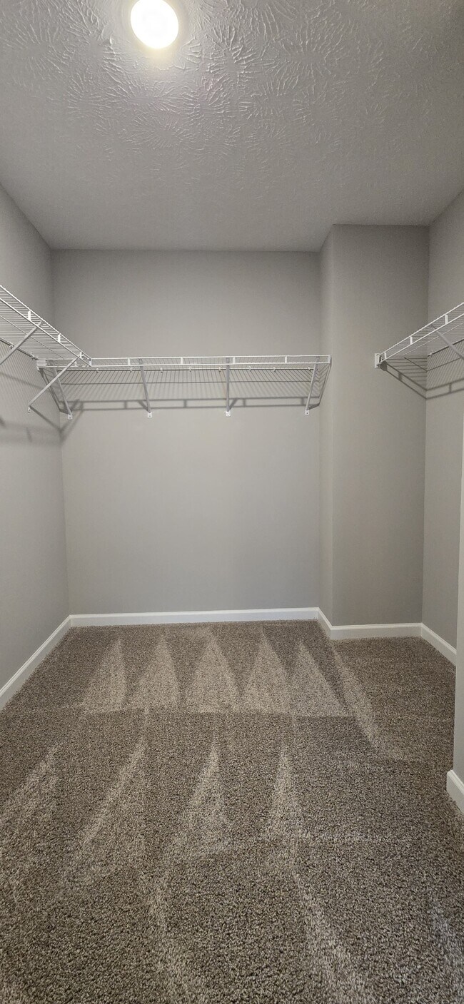 Building Photo - 1222 Ayla Ave