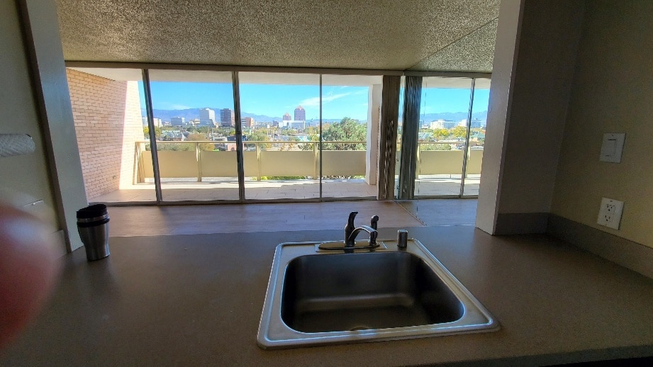 VIEW FROM PASS THRU - 1331 Park Ave SW