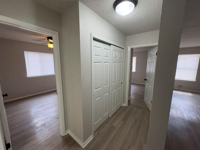 Building Photo - 12105 Missel Thrush Ct