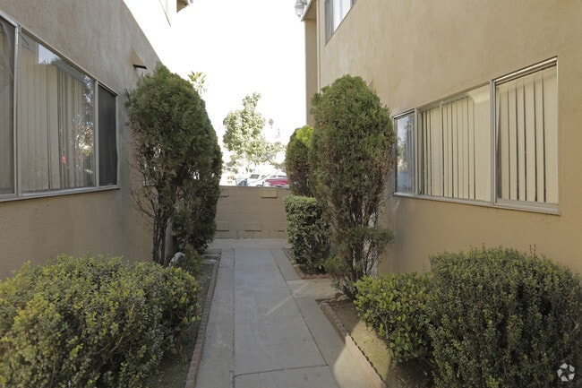 Courtyard - Palm St Apts