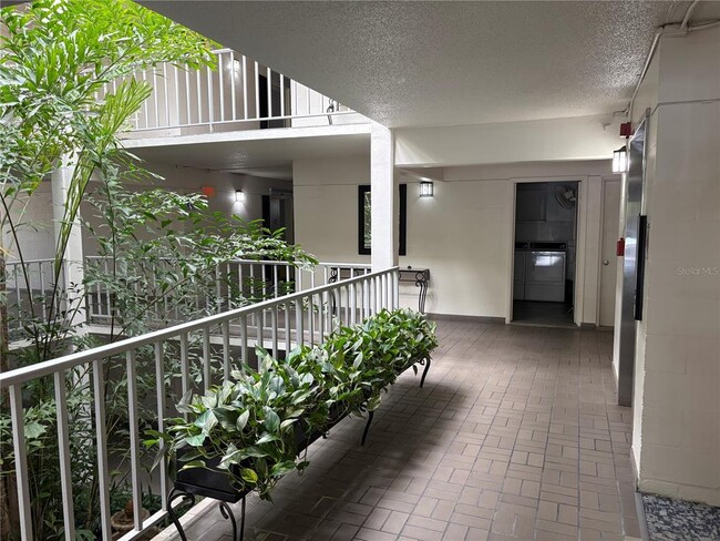 Building Photo - 3325 Bayshore Blvd