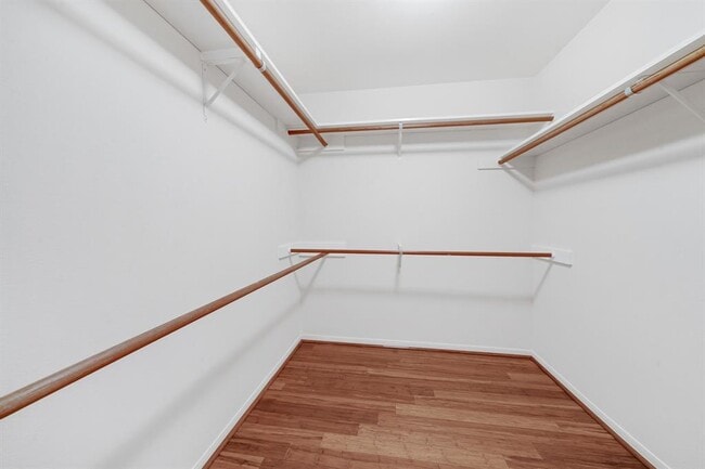 Building Photo - 14 Scarlet Woods Ct