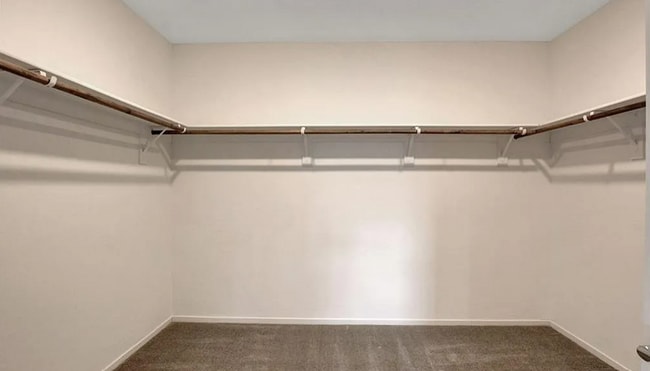 Building Photo - 37 Alamere Falls Dr