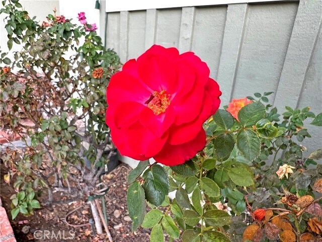 Building Photo - 3320 Campus Ave