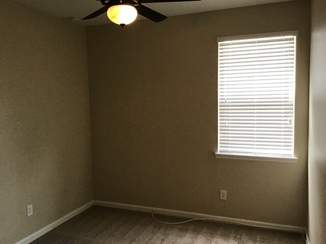 Building Photo - 305 Pine Arbor Cir