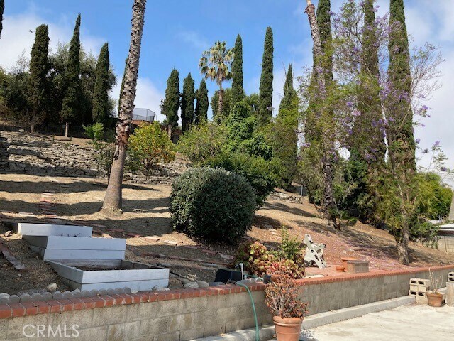 Building Photo - 25042 Armagosa Dr