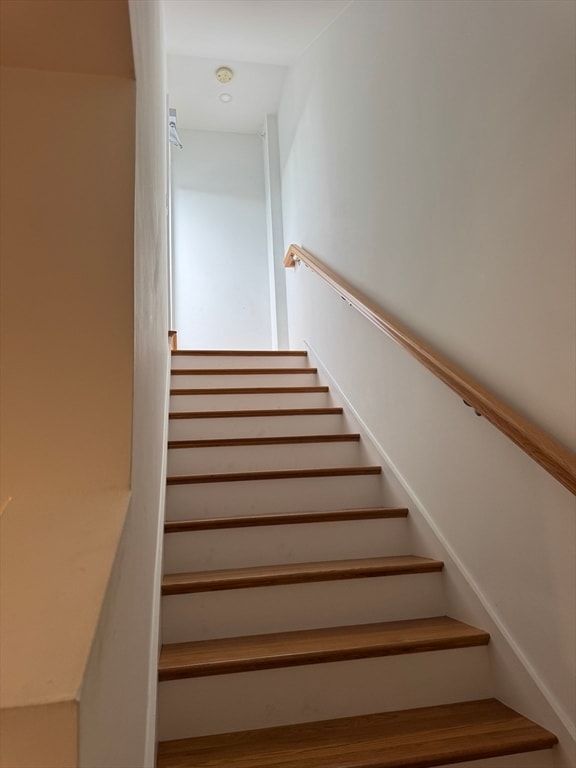 Building Photo - 49 Rogers St