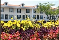 Building Photo - Signal View Apartments & Condos