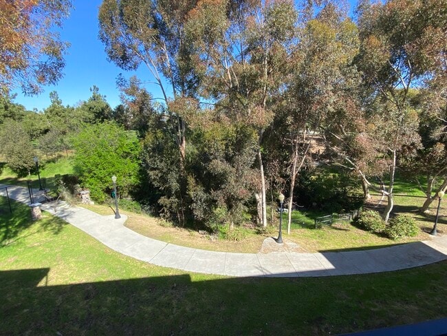 View of Park from Building - Park Place View Apartments