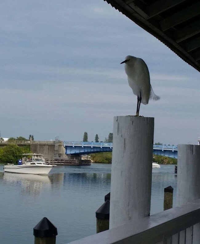 Building Photo - 428 Park Ln Dr