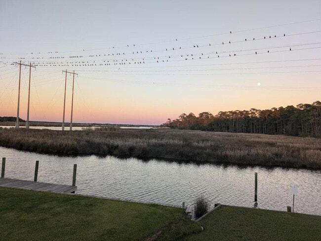 Building Photo - 1317 Beards Cove Dr