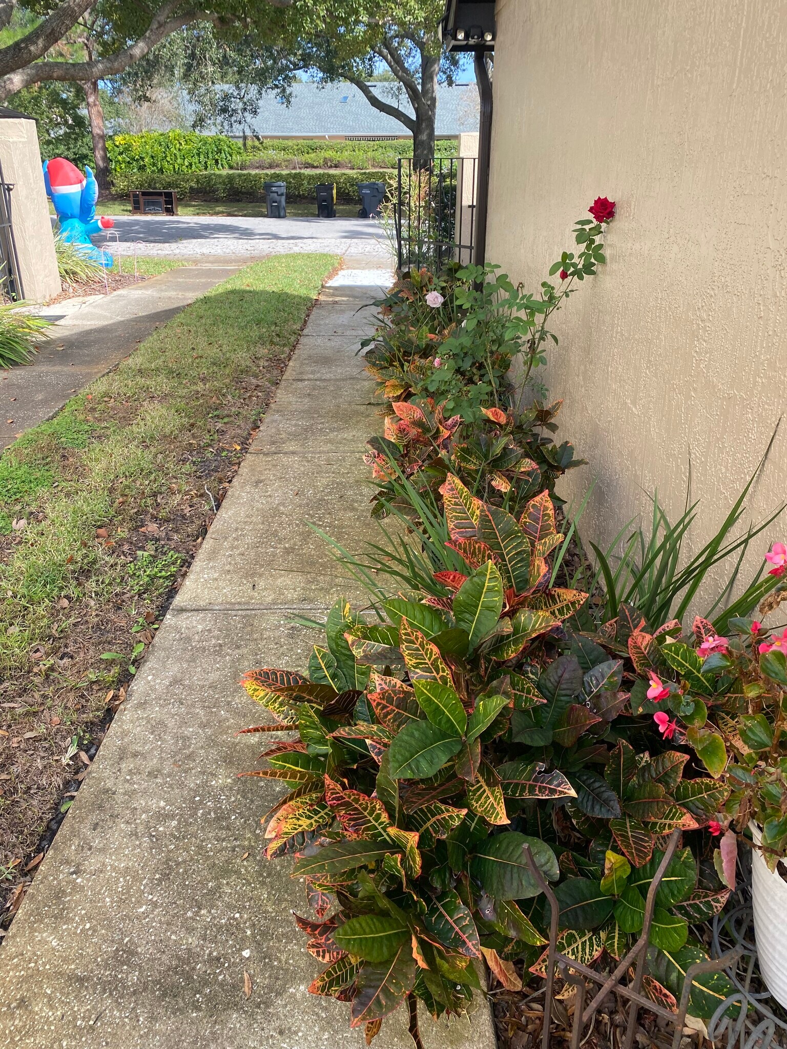 Building Photo - 2817 Wingfoot Ct