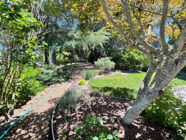 Building Photo - Minutes From Town,  Idyllic Sebastopol Oas...