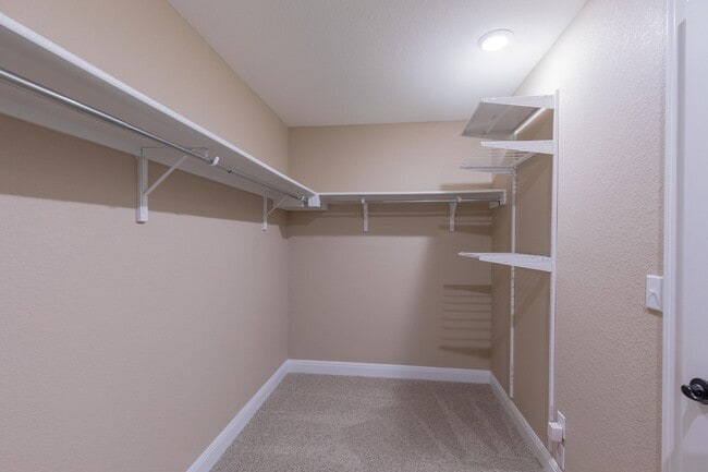 Building Photo - 1605 Constanta Dr