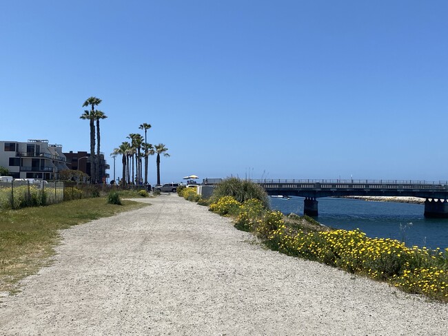 Serene walk path that leads to the beach & marina bridge entrances, about 4 minute walk from studio - 6308 Vista del Mar