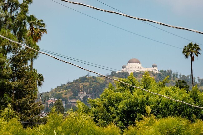 Building Photo - 6 Bed 5 Bath House with Fully Converted Co...