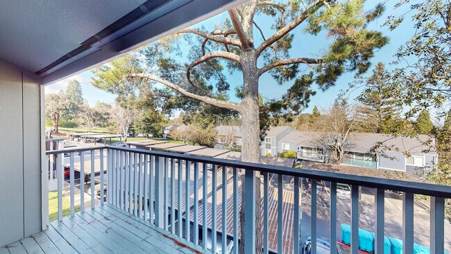 Building Photo - 551 Alameda del Prado