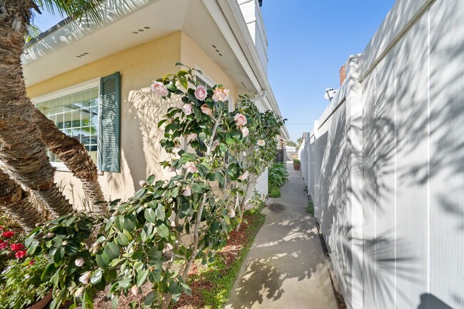 Building Photo - Charming 1-Bedroom Back House in Newport H...