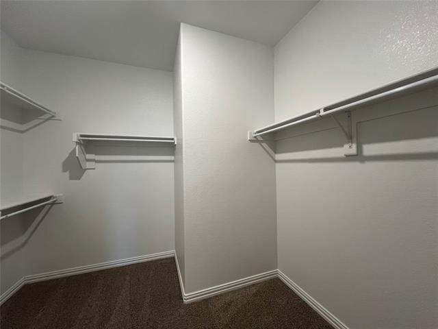 Building Photo - 3433 Loftwood Ln