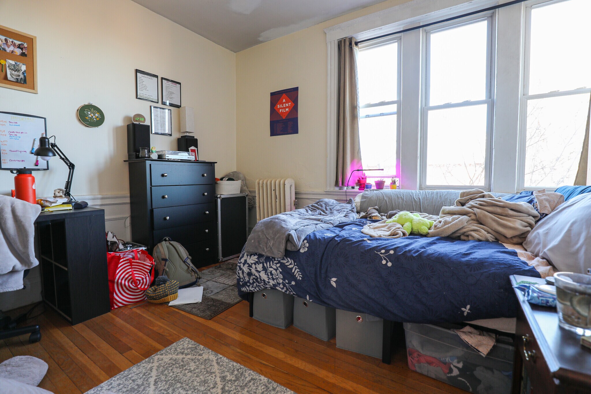 Building Photo - 62 Egmont St