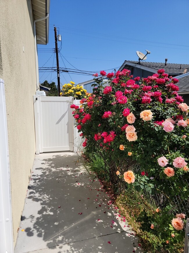 Building Photo - 91304 canoga Park