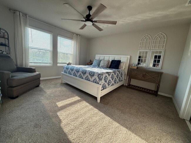 Building Photo - 3919 Radiant Mountain Dr