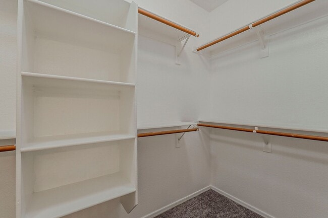 Building Photo - 3 Bed 2 Bath - New Kitchen Appliances\Carp...